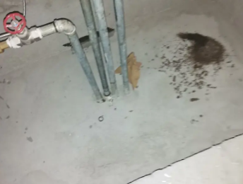 长岭卫生间测漏水价格明细